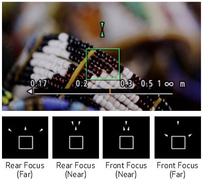 Dual Pixel CMOS AF Performance on the EOS R