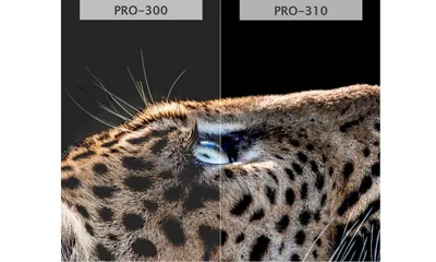 Comparison of Tiger