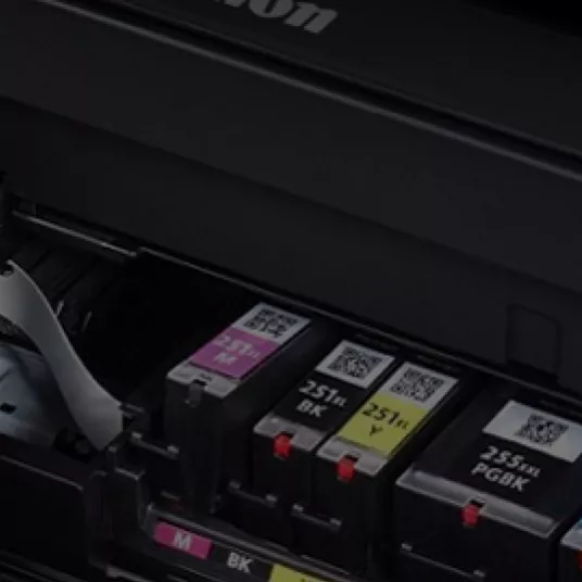 Canon Pixma MG 3650 : Changing Ink Catridges. 