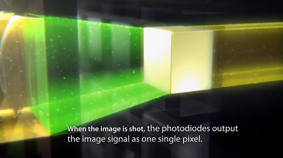 dual autofocus canon