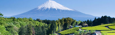 A beautiful landscape with Mount Fuji in the background and green fields in the foreground.