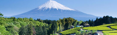 A beautiful landscape with Mount Fuji in the background and green fields in the foreground. 