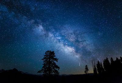 Photographing Meteor Showers