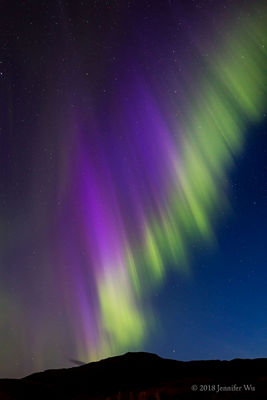 Auroras