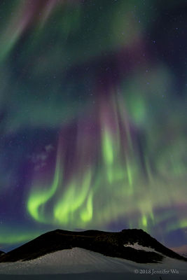Auroras