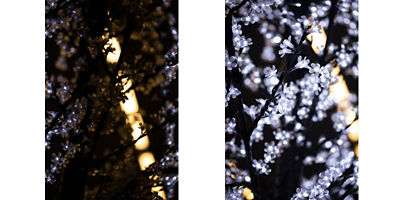 Images of LED lights taken consecutively with a high shutter speed 1/640 sec @ f/2.8 ISO 640