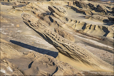 Intricate textures caused by erosion in the porous shoreline rocks