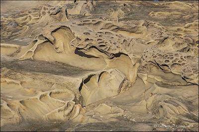High-definition image of formations along the cliffs at Shore Acres State Park