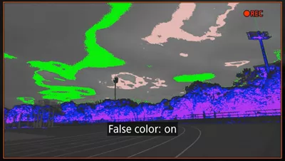 Track Field with False Color Demo