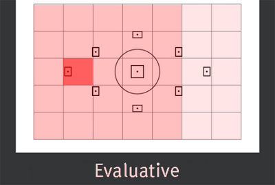 Metering zones evaluative mode display
