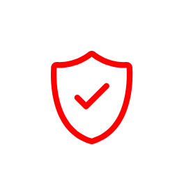 Secure icon