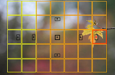 image of leaf in far right with blurry background and grid overlay recognizing image content