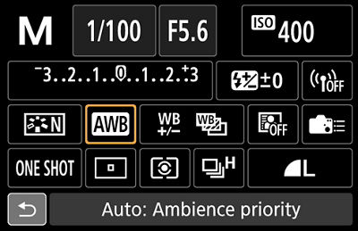 Camera screen showing settings including white balance