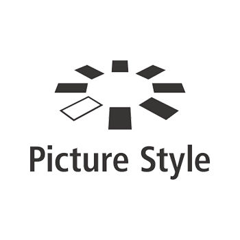 PICTURE STYLE