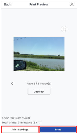 Print preview screen. Print Settings, and Print buttons shown at bottom of the screen. Deselect button is under the image