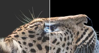 imagePROGRAF PRO-300 13" PROFESSIONAL INKJET PRINTER