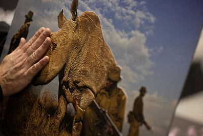 A hand gently exploring the raised, textured surface of a rhinoceros print