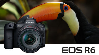EOS R6