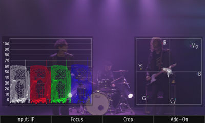 On‑screen color scopes and vectorscope overlay