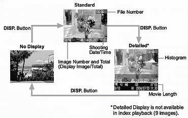 Replay mode LCD information on PowerShot A310