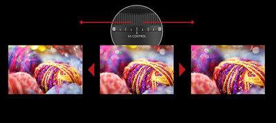 SA Control Ring Demo