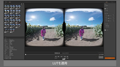 Demo of Software Screen