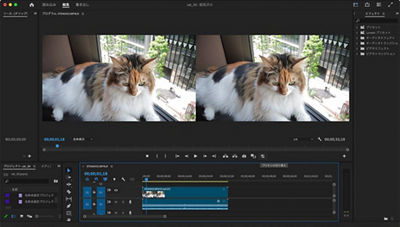 Demo of Software Screen