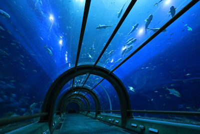 Underwater Tunnel