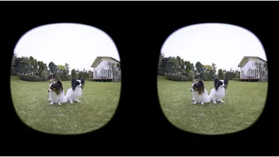 Demo of RF-S3.9mm F3.5 STM on Pair of Dogs