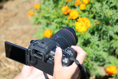 Person Using Camera to Take a Close Up Picture of a Flower