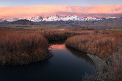 Picture of a Landscape