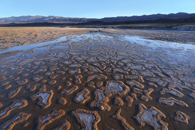 Picture of a Landscape