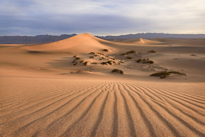 Picture of a Landscape