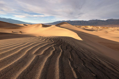 Picture of a Landscape