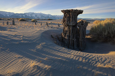 Picture of a Landscape