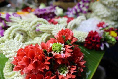Close Up of Different Flowers