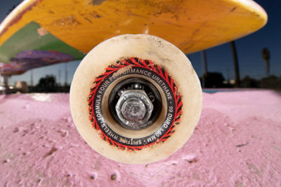 Normal View of Skateboard Wheel