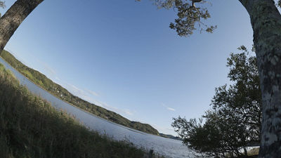 Fisheye Demo - Two Trees in a Field - 14mm