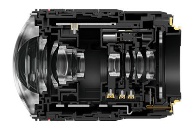 Cross Section of the Lens