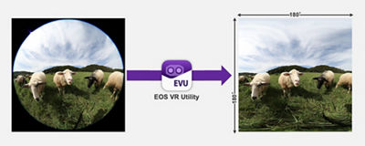 EOS VR Utility Demo - Sheep in a Field