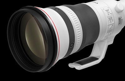 RF800mm F5.6 L IS USM