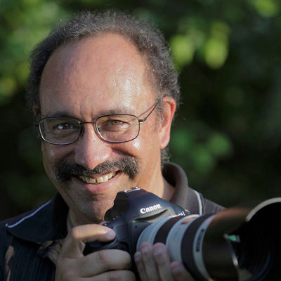 Presenter,Contributor,Rudy Winston