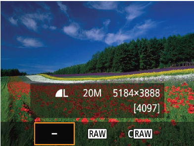 How to Enable RAW Image Capture on the PowerShot SX70 HS