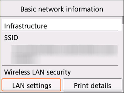 Basic network information screen: Select LAN settings