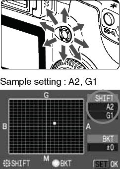 How to use white balance correction on the EOS Digital Rebel XT.