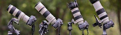 Cameras on tripods