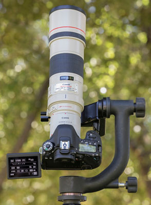 Gimbal head