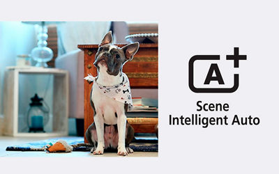 Canon EOS Rebel T100