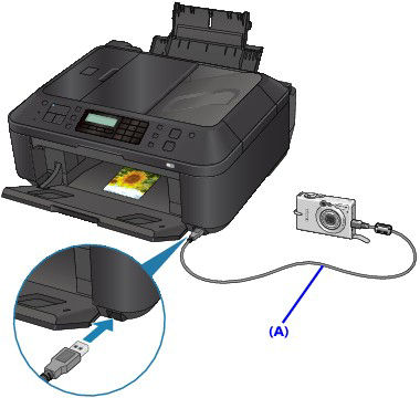 Direct Printing from a Canon or PictBridge compatible digital camera ...