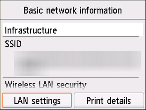 Basic network information screen: Select LAN settings